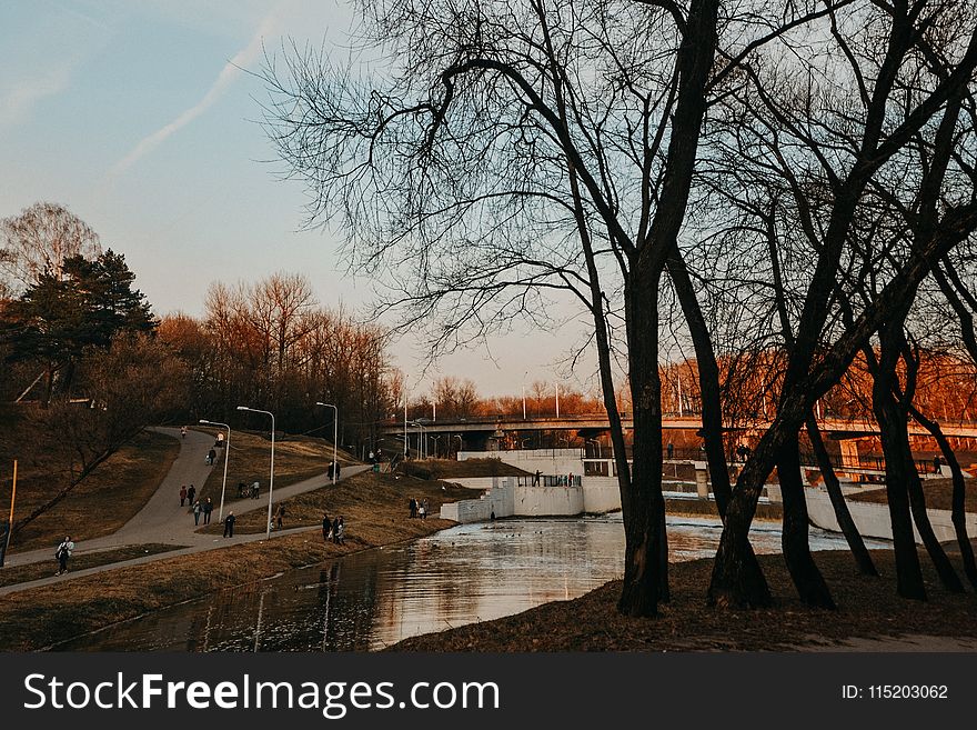 River Near Road