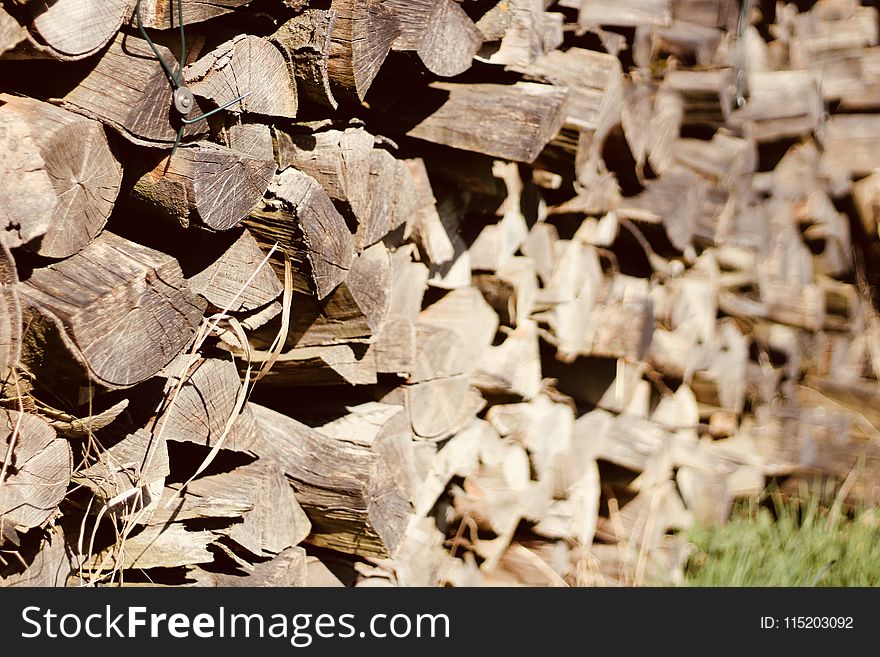 Photo of Piled Firewood