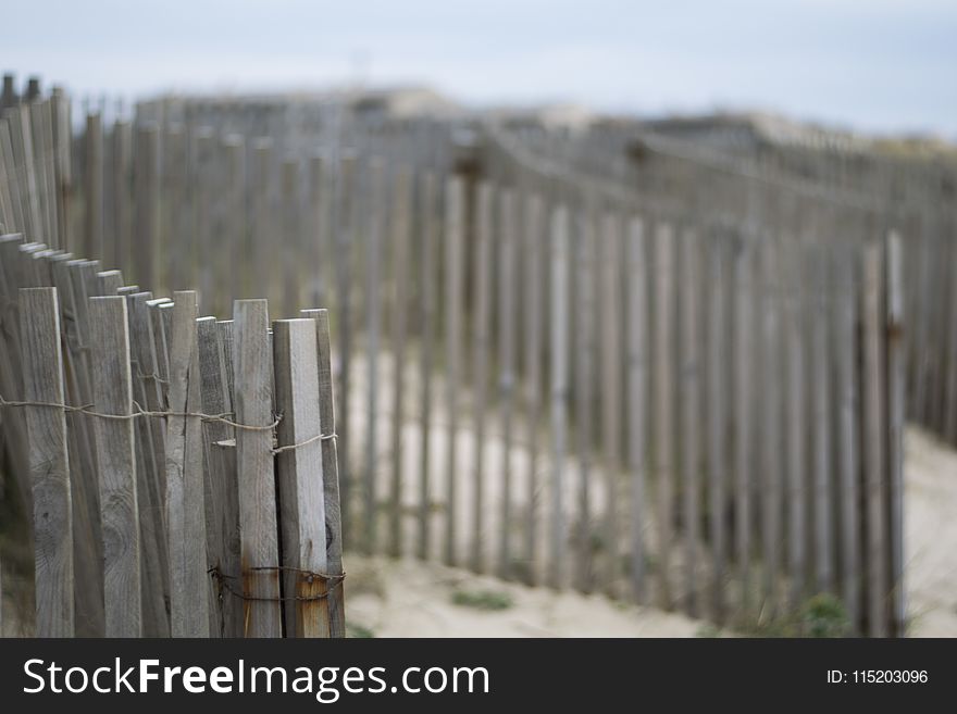 Shallow Focus Photography of Brown Wooden Fence
