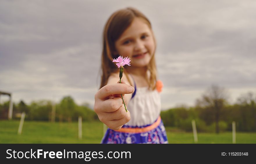 Selective Focus Photography of Girl Holding Pink Flower