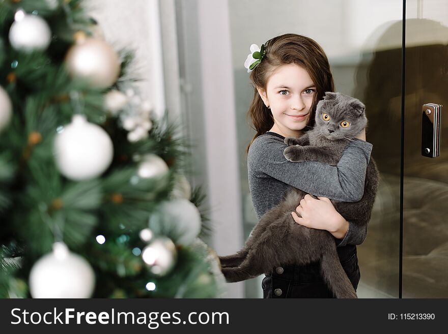 A cute little girl spends her time with her sweet cat. Gray cat and cute girl