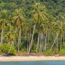 Palm Trees On Beautiful Tropical Beach On Koh Chang Island Royalty Free Stock Photos