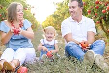 Portrait Of Happy Smiling And Laughting Parents With Cute Baby Daughter Having Fun In The Pomegrate Fruit Garden. Harvest, Family Royalty Free Stock Photos Portrait Of Happy Smiling And Laughting Parents With Cute Baby Daughter Having Fun In The Pomegrate Fruit Garden. Harvest, Family Royalty Free Stock Photos