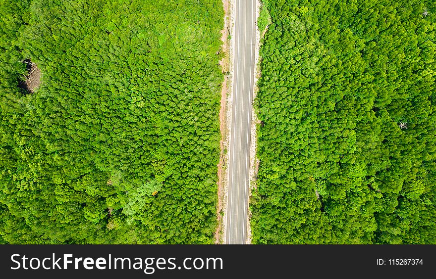 Aerial view landscape of Tree or forest , Krabi Thailand .