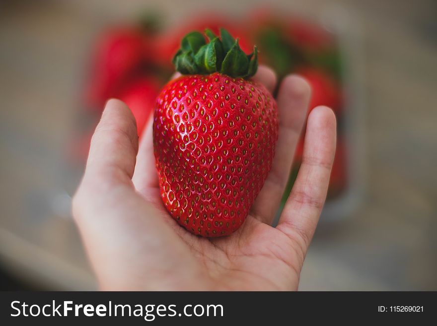 Close-Up Photography Of Strawberry