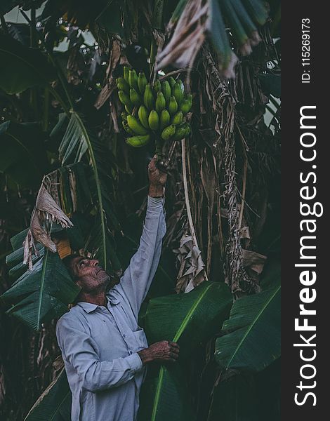 Person Reaching For Banana Fruit