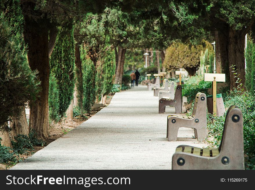 Gray Bench on Park