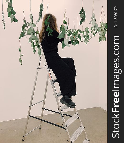 Woman Sitting on Tip of Ladder