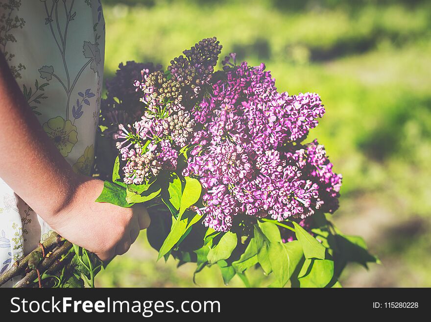 Little Girl Holding Lilac Flowers