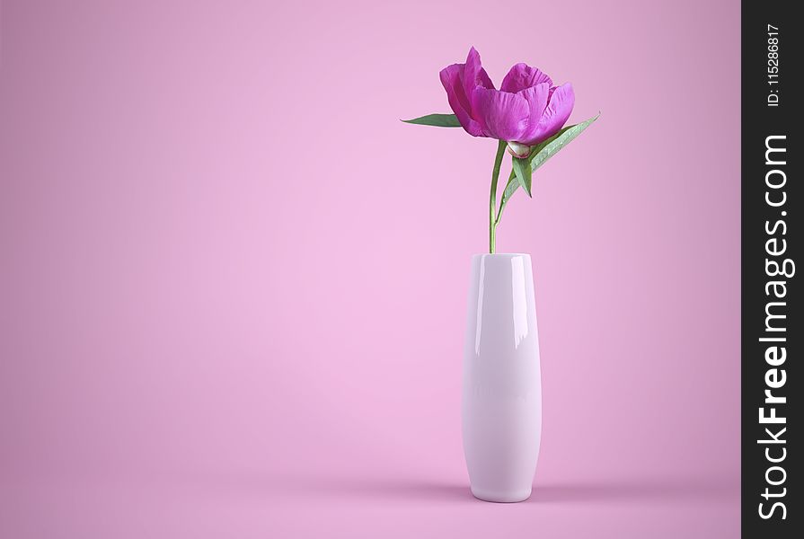Flower, Vase, Purple, Flowering Plant