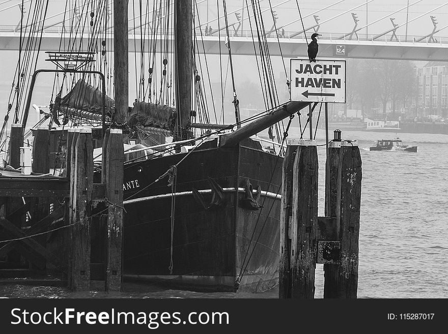 Black And White, Water, Monochrome Photography, Vehicle