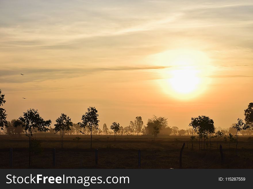 Sky, Sunrise, Dawn, Morning