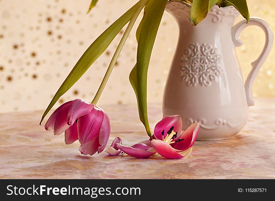 Flower, Vase, Still Life Photography, Plant