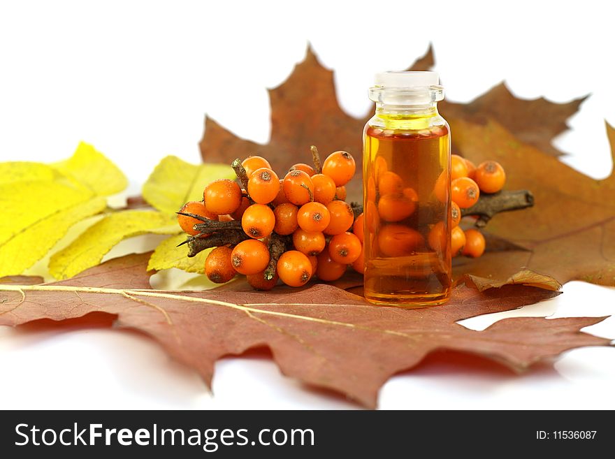 These are ripe orange berries of sea-buckthorn berries and the medical oil made of stones of sea-buckthorn berries. This oil possesses tremendous medical effect and is actively used in pharmacology. Berries ripen in the late autumn, therefore on the image there are yellow and red leaves. Selective focus. These are ripe orange berries of sea-buckthorn berries and the medical oil made of stones of sea-buckthorn berries. This oil possesses tremendous medical effect and is actively used in pharmacology. Berries ripen in the late autumn, therefore on the image there are yellow and red leaves. Selective focus.