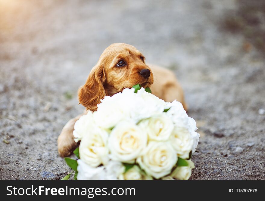 Portrait of a small puppy with bouquet of flowers