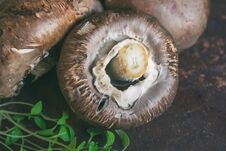 Fresh Large Portobello Mushrooms Royal Close-up Stock Photo Fresh Large Portobello Mushrooms Royal Close-up Stock Photo