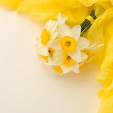 White Daffodil Bouquet With Yellow Textile Decoration On Pastel Background With Copy Space. Royalty Free Stock Image