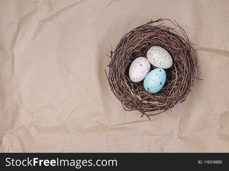 Bird Nest, Egg, Nest, Easter Egg