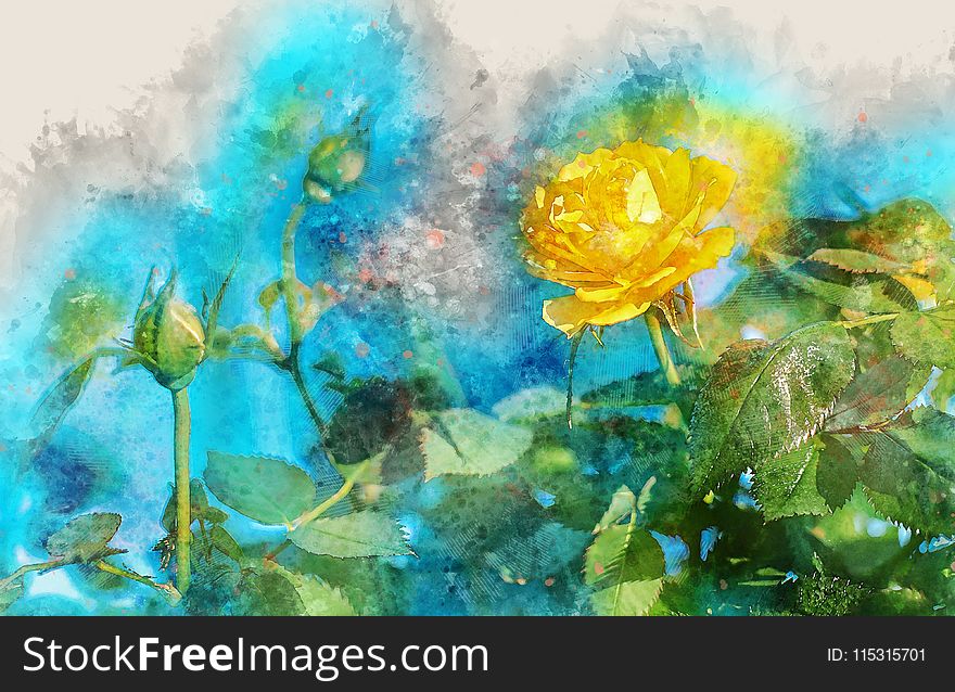 Flower, Painting, Watercolor Paint, Sky
