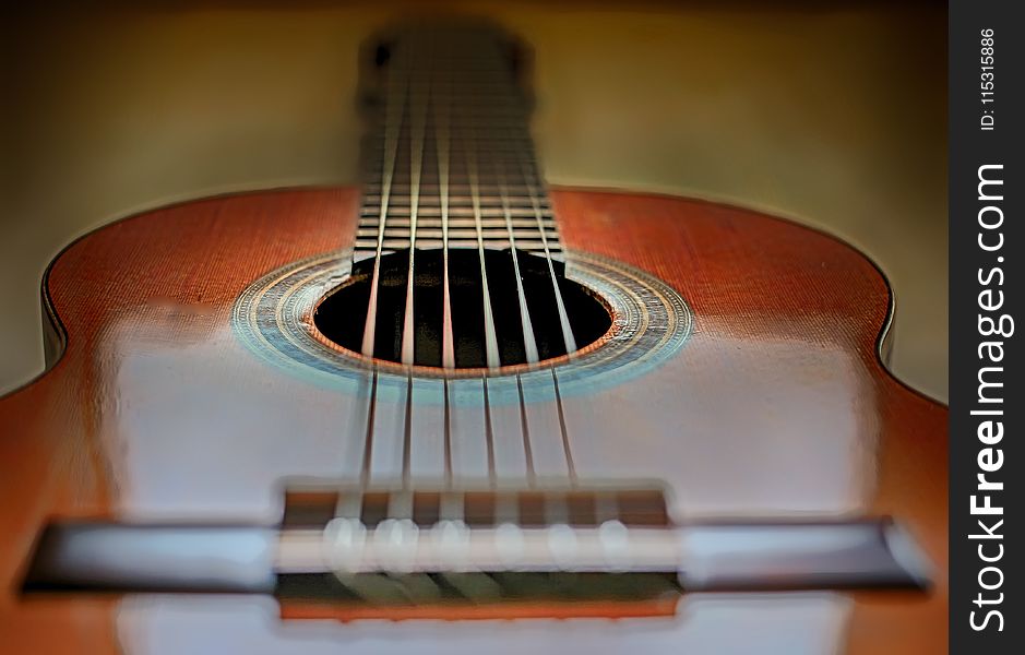 Musical Instrument, Guitar, Acoustic Guitar, Plucked String Instruments