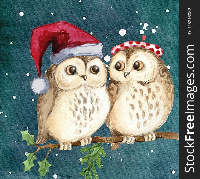 Owl, Bird Of Prey, Bird, Christmas Ornament