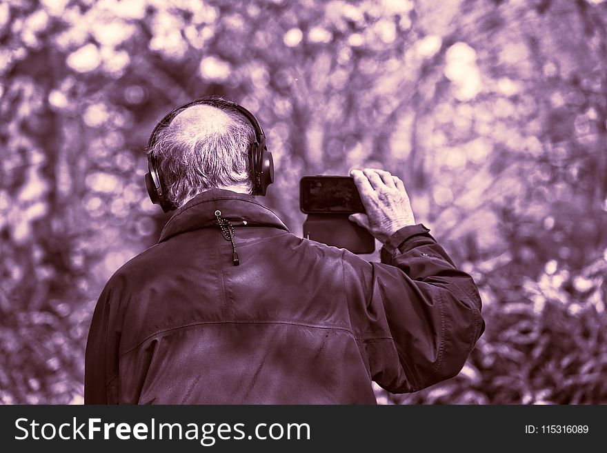 Photograph, Purple, Tree, Photography