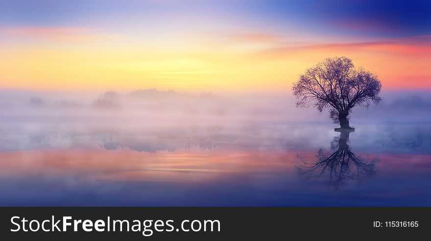 Sky, Dawn, Sunrise, Red Sky At Morning