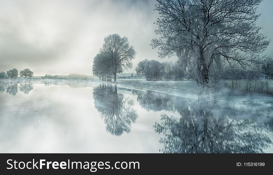 Water, Reflection, Nature, Winter