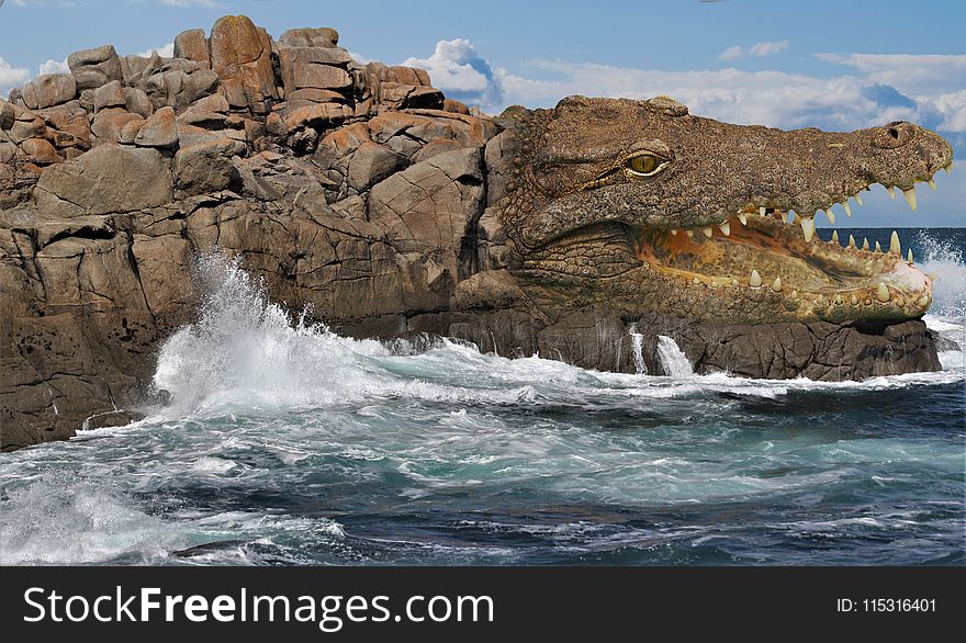 Rock, Coast, Sea, Coastal And Oceanic Landforms