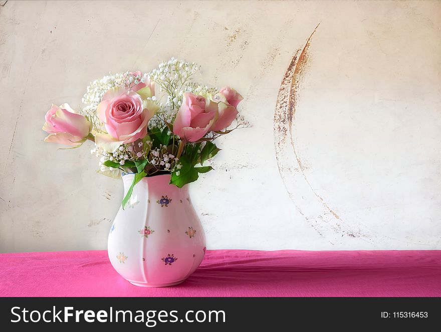 Flower, Pink, Vase, Cut Flowers