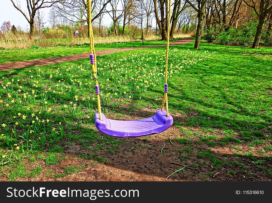 Swing, Tree, Outdoor Play Equipment, Grass