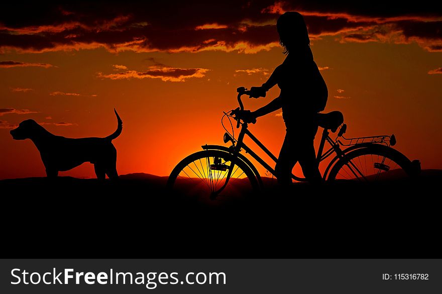 Sky, Sunrise, Silhouette, Sunset