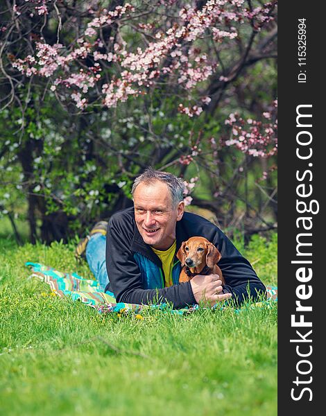 Happy man hugs his funny dog, dachshund, while lying on the green meadow under a wild blooming cherry, enjoying life on a awesome spring day.