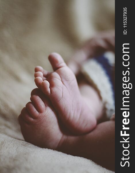 A close up of a baby boy`s feet. A close up of a baby boy`s feet.