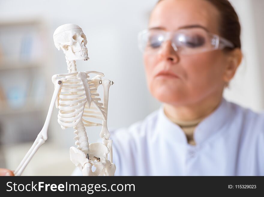 The Woman Doctor Studying Human Skeleton