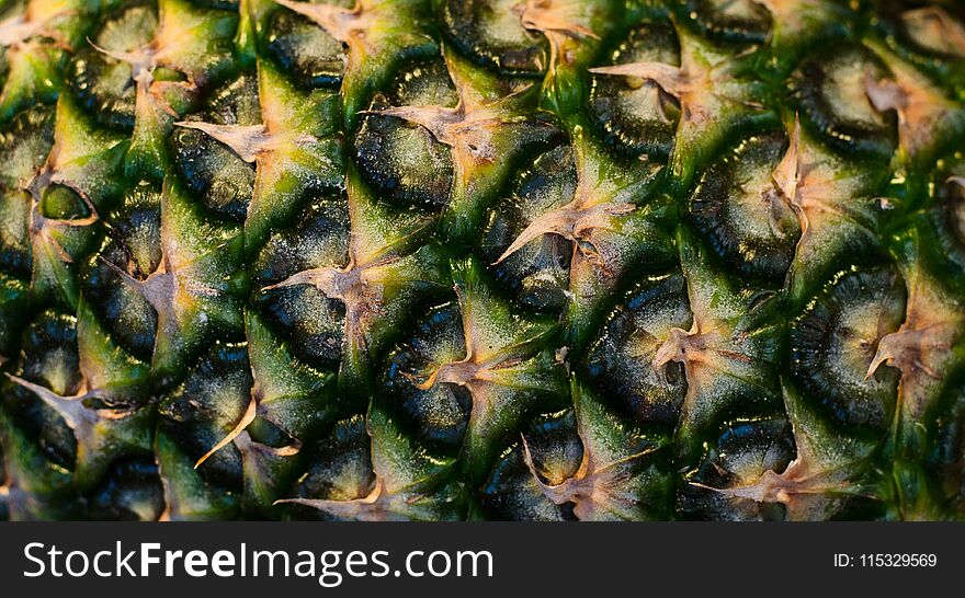 Close up of the exterior of a pineapple. Texture, close up. Close up of the exterior of a pineapple. Texture, close up.