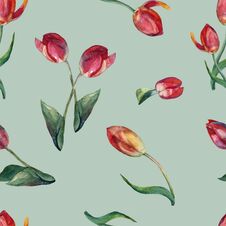 Watercolor Flowers Red Tulip. Seamless Pattern On Green Background. Stock Image