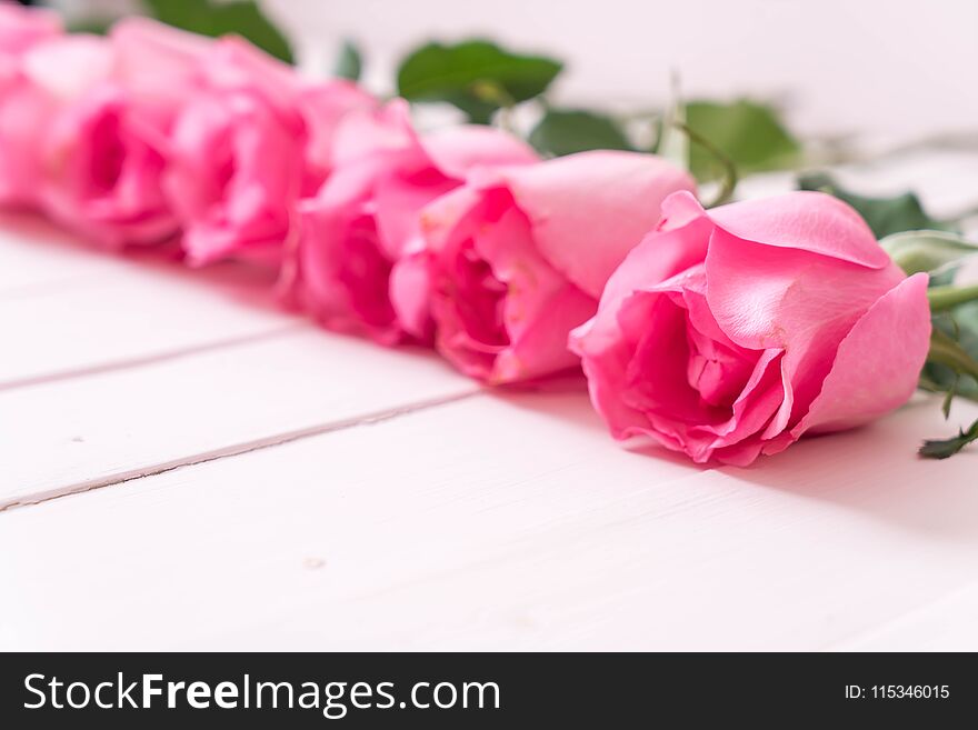 pink rose in vase on wood background with copy space