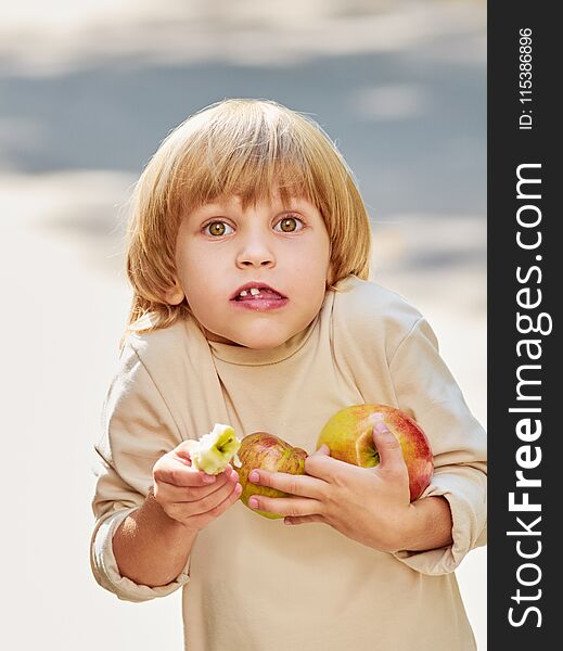 Portrait of funny little kid with milk teeth holding apples in hands. Portrait of funny little kid with milk teeth holding apples in hands