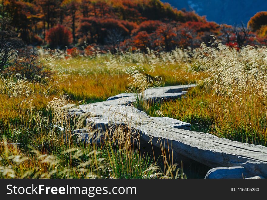 A wooden walkway in the Los Glaciares National Park. Autumn in Patagonia, the Argentine side