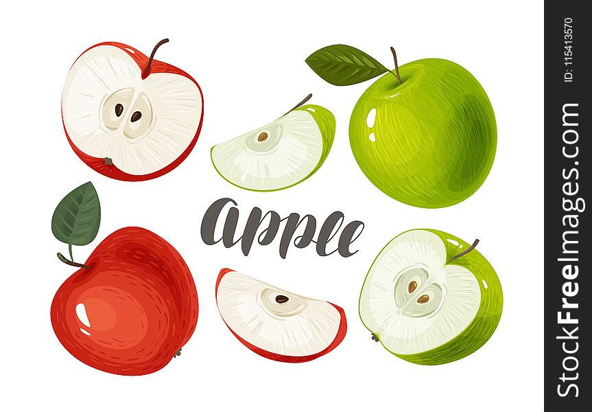 Apple and slices. Fresh and juicy fruit. Vector illustration