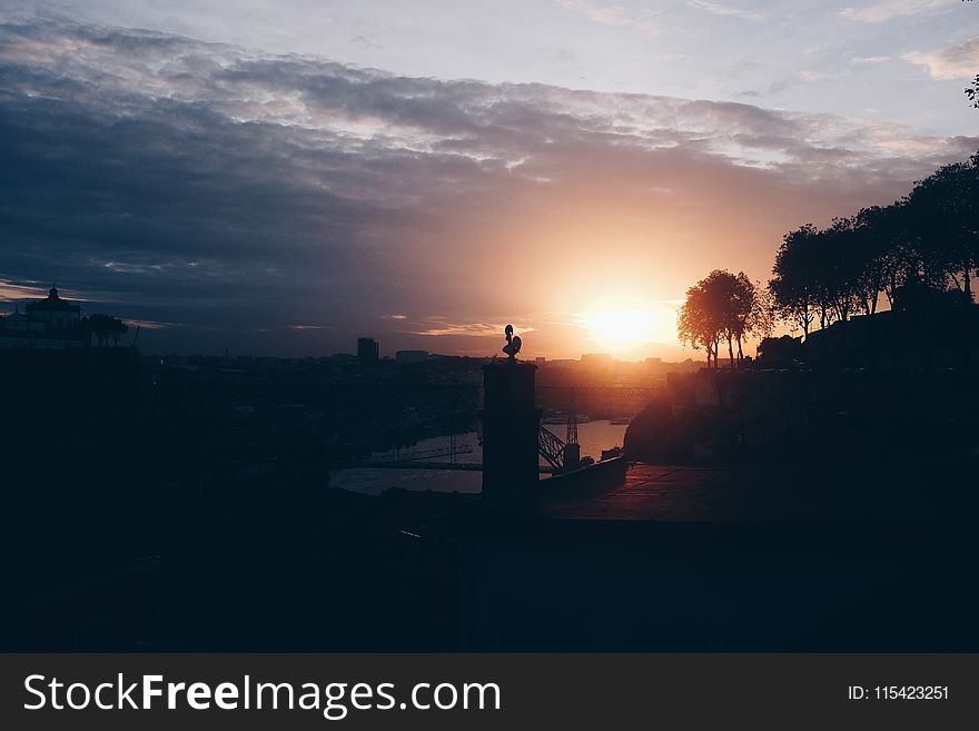 Silhouette of Trees and Buildings during Sunrise