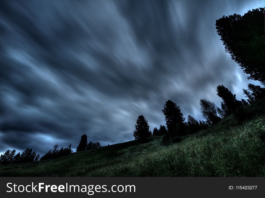 Silhouette Photo of Trees Under Gray Clouds