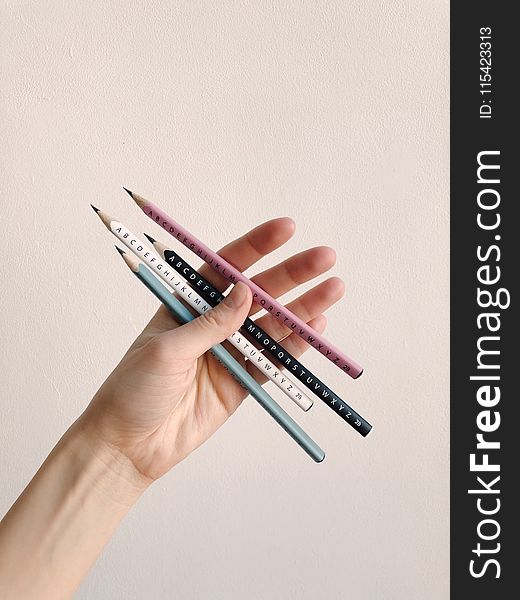 Photo Of Person Holding Assorted Pencils