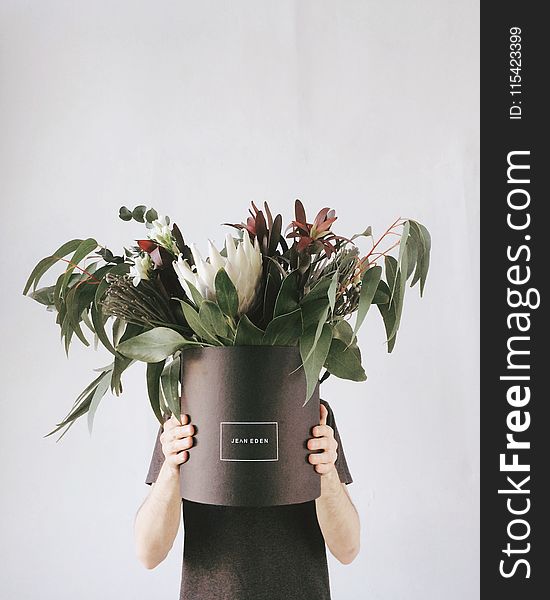 Person in Black T-shirt Holding Potted Flowers