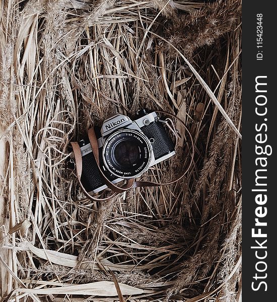 Black and Grey Nikon Camera in Brown Nest