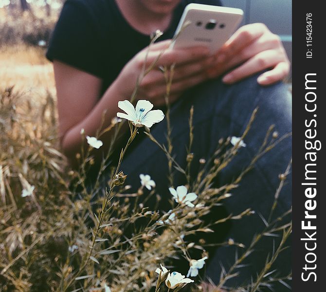 Selective Focus Photography of White Petaled Flowers Near Woman Holding Smartphone