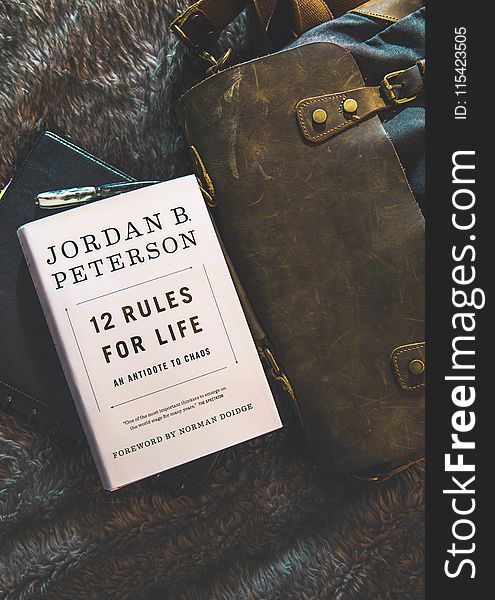 12 Rules for Life by Jordan B. Peterson Book Brown Textile