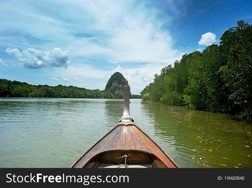 Brown Wooden canoe near trees