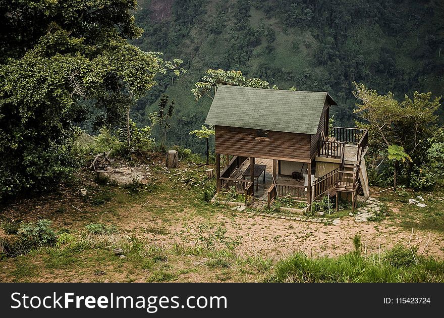 Brown And Green Wooden 2-story House Near Green Tress